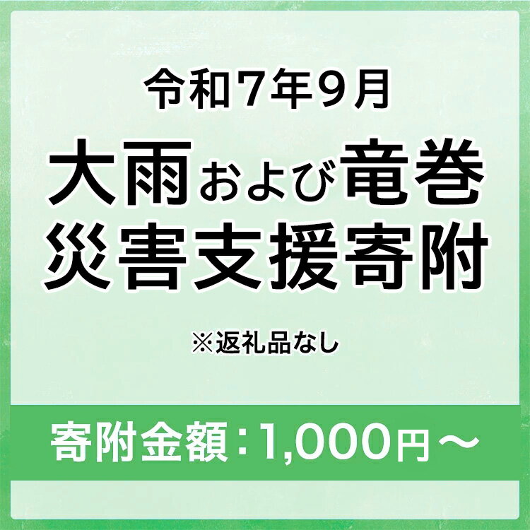 【ふるさと納税】令和7年9月大雨および竜巻災害 災害支援寄附【災害応援寄附金】 (寄附金額：1,000円～100,000円)【返礼品なし】※被災地のために災害支援金としてお渡します｜静岡県 大雨 竜巻 災害 復興 支援 寄附 寄付