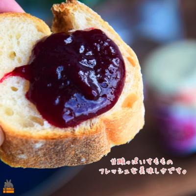 ふるさと納税 徳之島町 徳之島産すもも使用!低糖度の徳之島すももジャム(100g) |  | 02