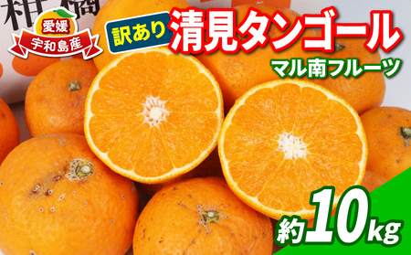 愛媛みかん 訳あり 清見タンゴール 10kg マル南フルーツ 先行予約 わけあり タンゴール オレンジ きよみ 清見オレンジ 清見みかん 清見蜜柑 清見 愛媛ミカン 愛媛蜜柑 蜜柑 みかん mikan