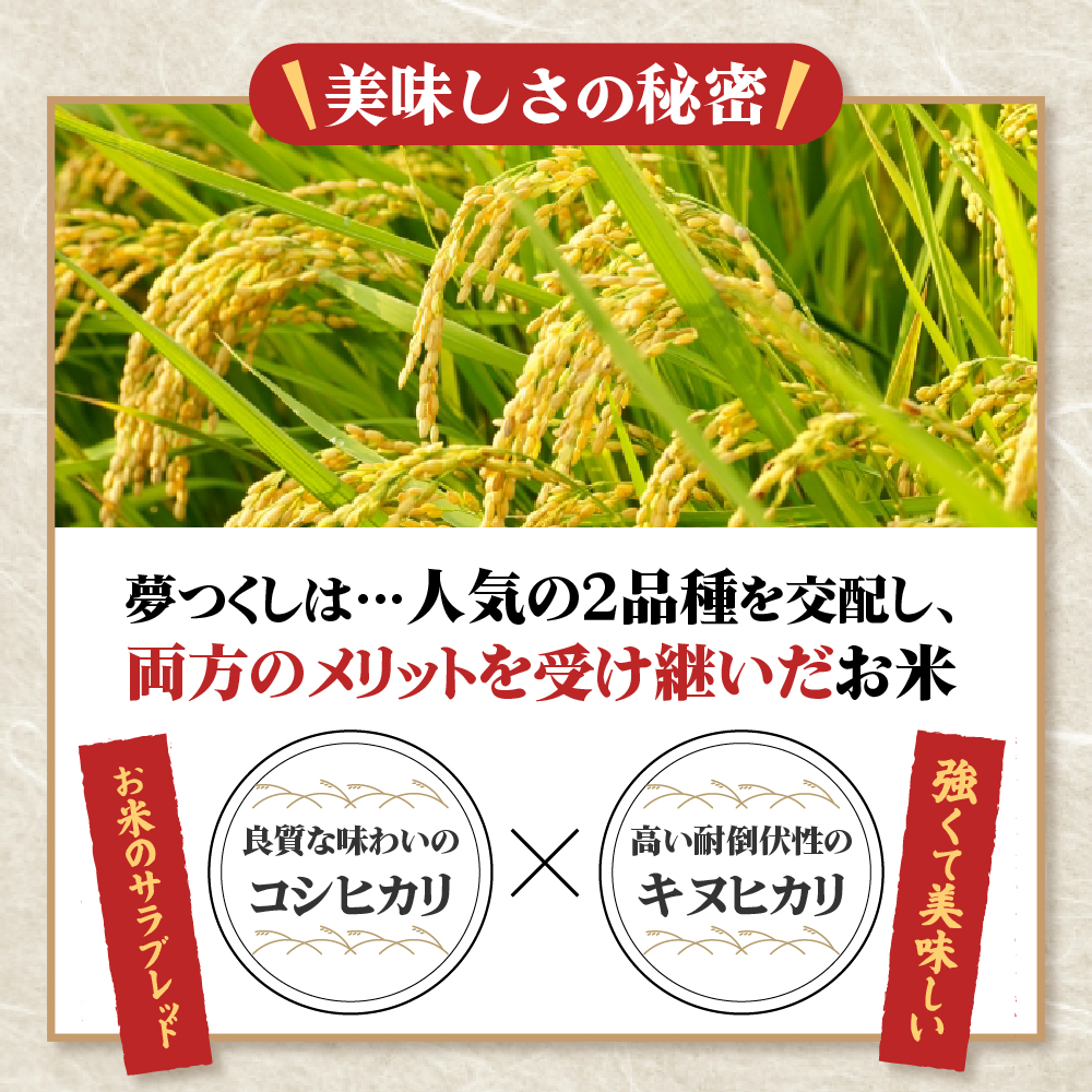 【数量限定】夢つくし(精米) 福岡県産ブランド米 20kg (品番:3X13)