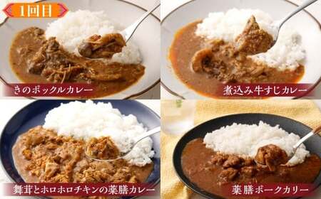 カラダ想いのスパイスカレープラスワン（カレー4種×2回、カレー２種ときのこご飯の素１種2袋×1回）毎月【3回定期便】 きのポックルカレー まぜてご飯 豚バラジンジャーカリー きのこスパイスカレー 薬膳