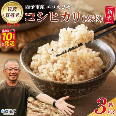 ふるさと納税 西予市 新米<令和7年産 西予市産 特別栽培米 エコえひめ コシヒカリ 玄米 約3kg>国産