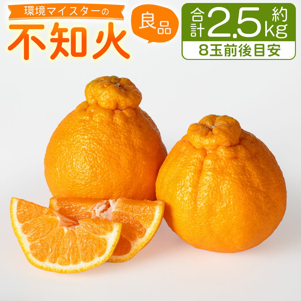 【ふるさと納税】環境マイスターの不知火 良品 2.5kg 8玉前後 栽培期間中 無肥料・低農薬 不知火 ミカン 蜜柑 みかん 果物 国産 九州産 熊本県産 冷蔵 送料無料【2026年1月上旬-4月下旬迄順次発送予定】