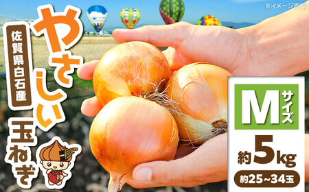 【やさしい玉ねぎ】白石産玉ねぎ 約5kg（Mサイズ）【川崎ファーム】[IDQ003]
