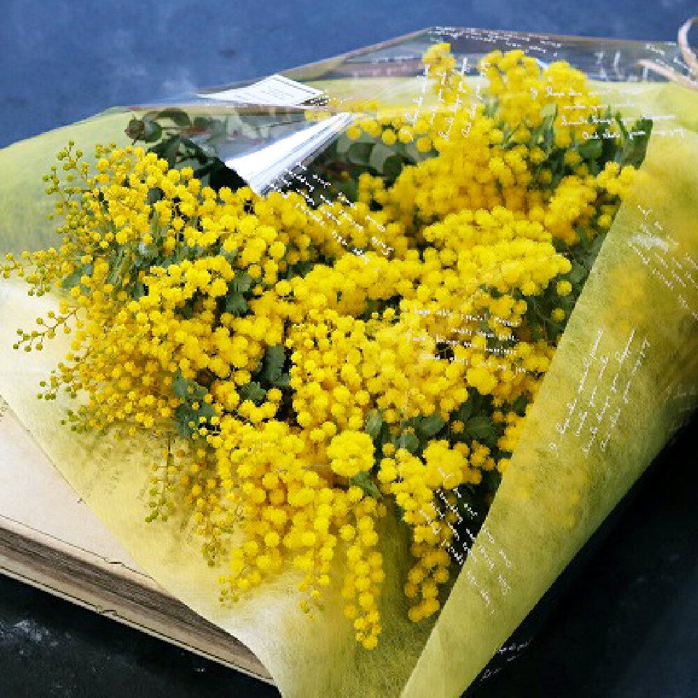【ふるさと納税】【倉敷市栽培】春限定！ ミモザとユーカリの花束 フレッシュ ミモザ（7本）・ユーカリ（2本） 花束 はなたば お花 生花 フラワー 黄色 贈り物 プレゼント お祝い 岡山県 倉敷市 送料無料 【2027年2月下旬～3月下旬発送予定】