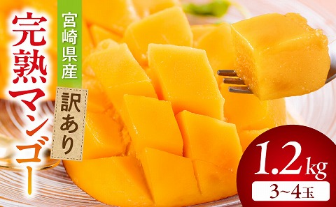 【期間・数量限定】宮崎県産訳あり完熟マンゴー1.2kg(3～4玉)_M359-006
