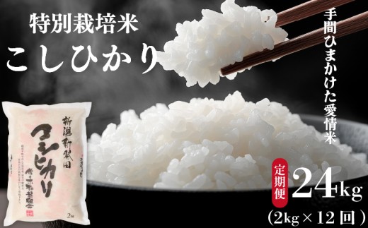 【定期便】 令和7年産 新潟県新発田産 特別栽培米コシヒカリ 2㎏ × 12か月 米 お米 ごはん 白米 コシヒカリ 佐々木耕起組合 プレゼント ギフト 贈答 定期便 特別栽培米  佐々木耕起 佐々木こうき 新潟県 新潟産 新発田産 D20_002