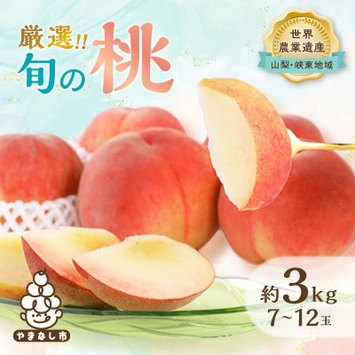 【2027年発送先行受付】厳選!旬の桃　約3kg(7玉～12玉)【離島・沖縄配送不可】【配送不可地域：離島・沖縄県】