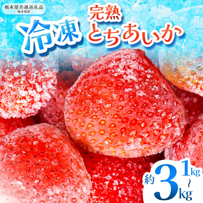 【ふるさと納税】 限定 選べる 完熟 冷凍 とちあいか いちご イチゴ 苺 フルーツ 果物 1kg 2kg 3kg 訳あり 不揃い | 選べる 冷凍 スイーツ ジャム スムージー たっぷり 大粒 甘い 美味しい デザート 人気急上昇 安い お買い得 栃木県 那珂川町 送料無料