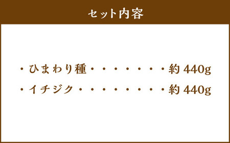 【ライ麦セットA】天然酵母のハード系パン2種（ひまわり種・イチジク）　1090001