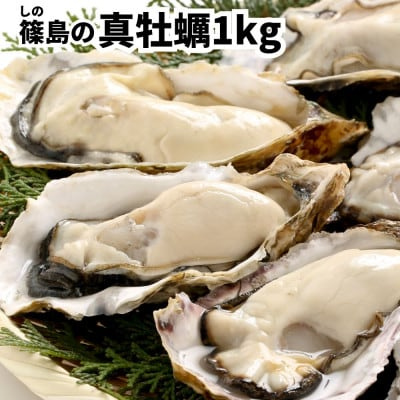 
特上・篠島の殻付き真牡蠣1kgセット(生食用かき・CAS冷凍カキ)海鮮バーベキューBBQ、浜焼きに【1405142】
