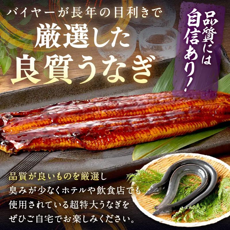【鰻】うなぎ蒲焼き 2尾 合計800g前後 | うなぎ