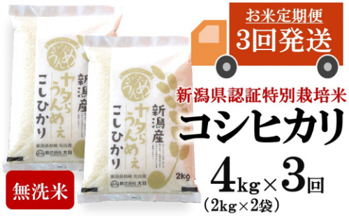 【令和7年産米・3ヶ月定期便】コシヒカリ 無洗米 4kg（2kg×2袋）×3回（計 12kg）ヤタらうんめぇ お米 新潟県産 小分け 水田環境鑑定士在籍[Y0203]