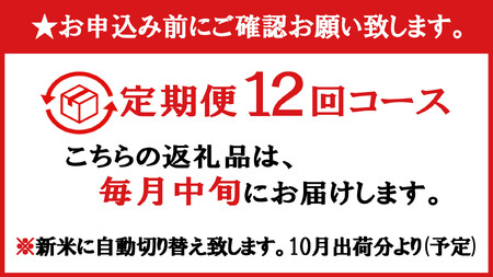 【令和7年産新米予約】【C-12定期便】南魚沼産新之助5kg×12回【2025年11月中旬より順次発送予定】