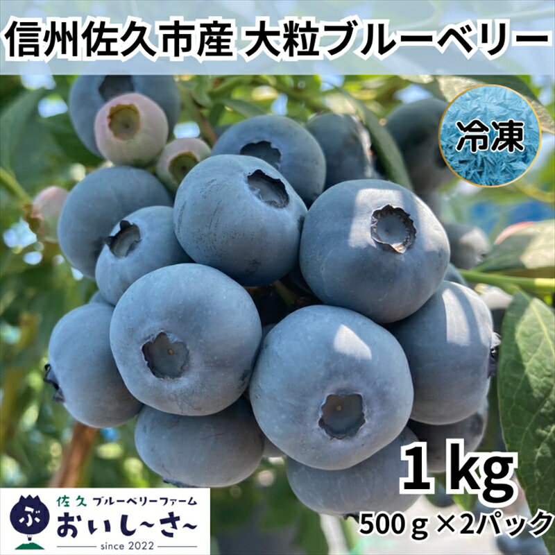【ふるさと納税】長野県産 冷凍ブルーベリー 約1kg （500g×2袋） ＜2026年8月～2027年1月出荷／沖縄・離島は配送不可＞ 信州 フルーツ 果物 完熟 大粒 甘い ブルーベリー 数量限定 旬彩