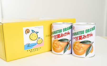 みかん 甘夏みかん 甘夏缶詰 12缶 固形量160g