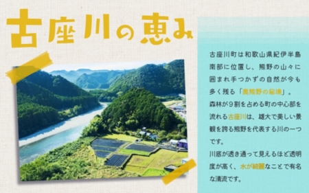 にんにく 乾燥にんにく 1kg 古座川の自然の恵みが育む 【gnz103A】