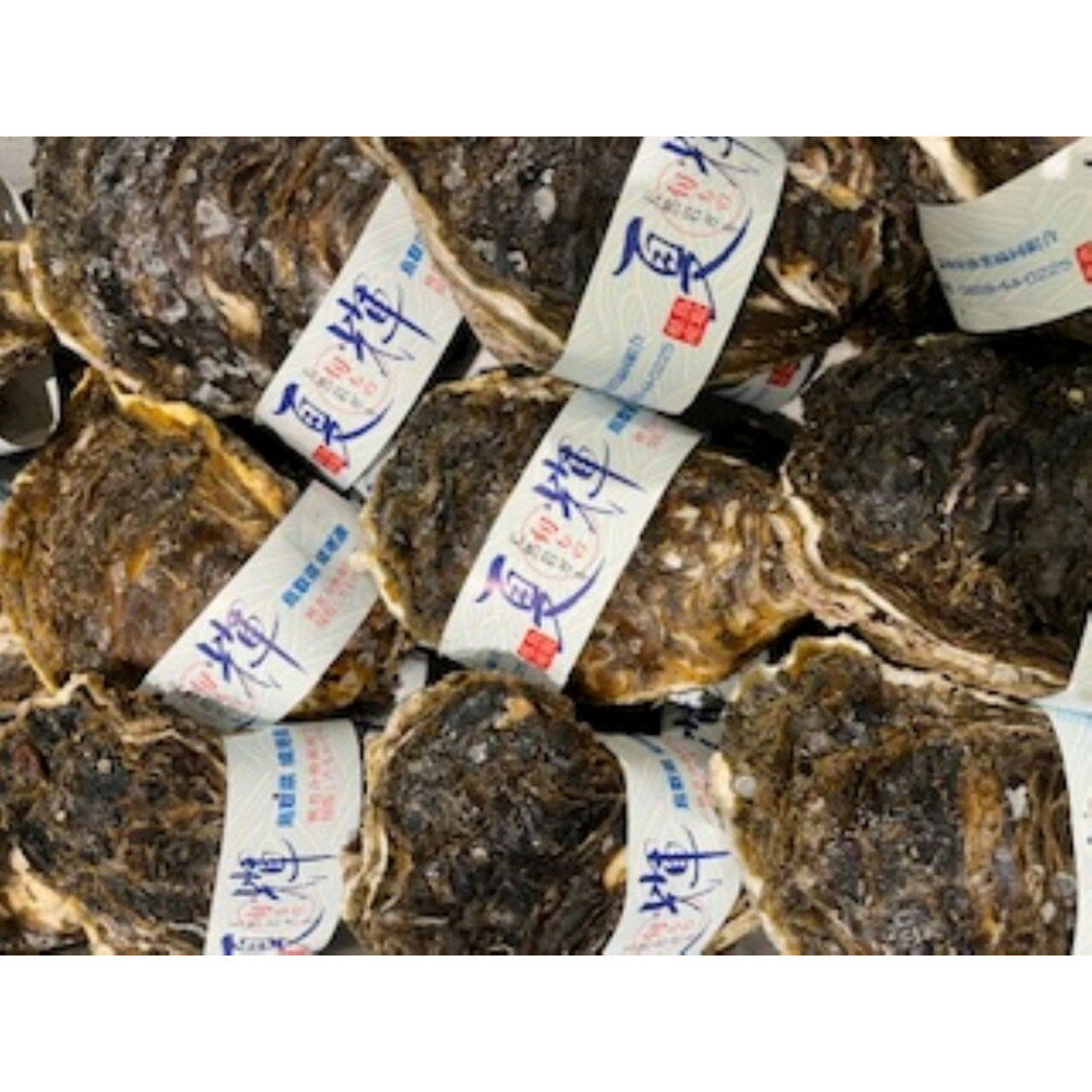 【ふるさと納税】＜選べる＞＜先行予約！6月中旬～7月上旬頃順次配送＞＜数量限定＞今が旬！天然岩牡蠣(5～6個)