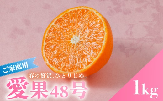 愛果48号 家庭用 お試し1kg(4～5玉)  【2027年3月上旬頃から順次発送】 | あいか 新品種 紅まどんな × 甘平 紅プリンセス と同品種 みかん ワケアリ 訳あり B品 柑橘 果物 おすすめ 高級 人気 お取り寄せ グルメ ギフト 期間 ご当地 愛媛県 松山市 蓮果園