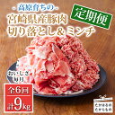 【ふるさと納税】定期便6回 豚肉詰め合わせ《大容量！寄付金45,000円で合計9kg》国産 豚肉 豚肉切り落とし&ミンチ 9000g お弁当 豚肉2種詰め合わせセット しゃぶしゃぶ ハンバーグ 宮崎県 高原町 日本産 6ヶ月 送料無料 故郷納税 45000円 4万円台 四万円台