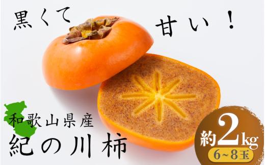 黒くて甘い 紀の川柿 約2kg ★和歌山県オリジナル★【2026年10月上旬～2026年11月上旬ごろ発送予定】