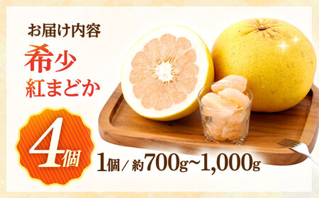 紅まどか 4個[OBP001]柑橘