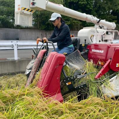 ふるさと納税 静岡市 【令和7年産・精米】静岡県産こしひかり2kg/栽培期間中農薬不使用 |  | 02