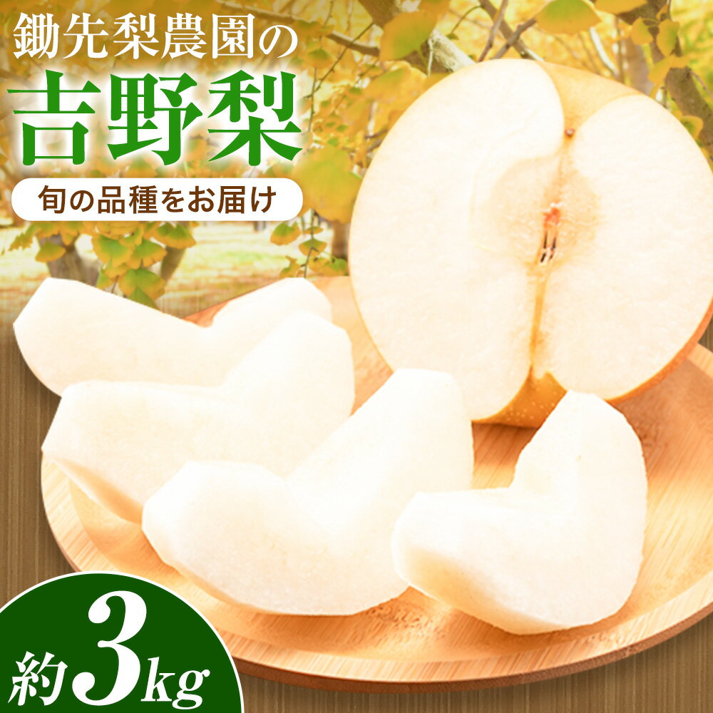 【ふるさと納税】秋 旬 梨 フルーツ 鋤先梨農園の梨 約3kg 豊水 あきづき 新高 新興 甘太 鋤先梨農園《8月下旬-10月中旬頃出荷》熊本県 氷川町 熊本県氷川町産 なし ナシ 旬の梨 果物 くだもの スイーツ