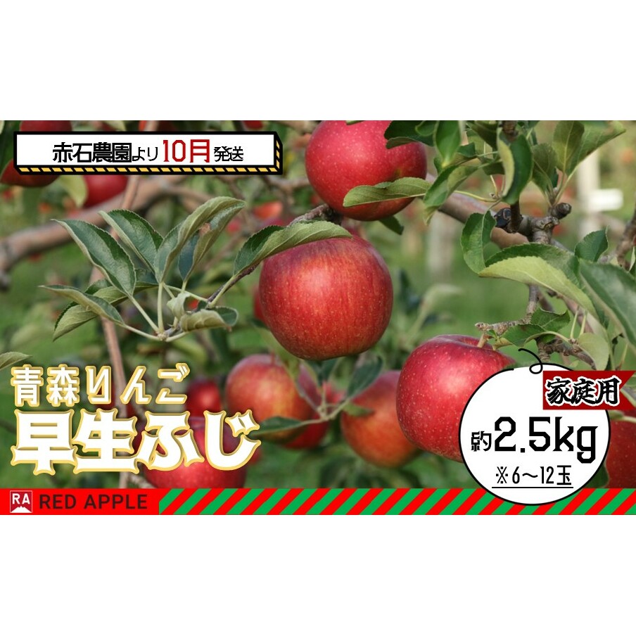 りんご 【 10月発送 】 家庭用 早生ふじ 約 2.5kg 【弘前市産 青森りんご】果物 フルーツ 食後 デザート 早生りんご ジューシー シャキシャキ