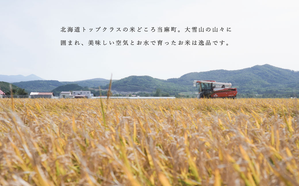玄米 おぼろづき 150g 北海道米 こめ 1000円台  2000円 3000円 当麻町 長谷川農園 北海道産 北海道米【B-011】