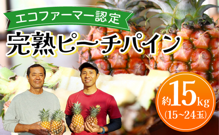 《2026年先行予約》ピーチパイン 約15kg 15～24玉 農園ファイミール 完熟 果物 フルーツ