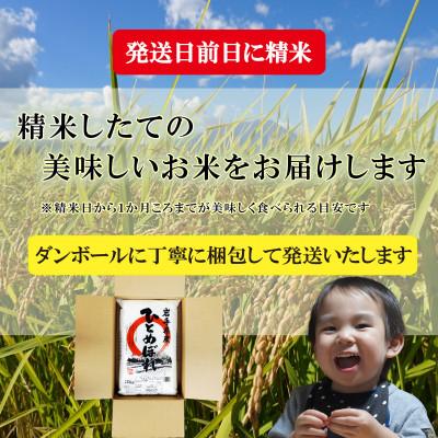 ふるさと納税 盛岡市 【2025年6月下旬発送】【令和6年産】【ひとめぼれ】【無洗米】お米マイスター推奨盛岡市産10kg |  | 03