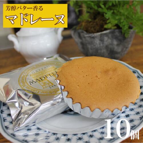 【ふるさと納税】オリジン 芳醇なバターの香りのマドレーヌ 10個 1箱 マドレーヌ ケーキ バター 定番 賞味期限1年 香り 口どけ 口溶け お菓子 焼菓子 焼き菓子 スイーツ しっとり 風味豊か 大人向け 子ども向け 家族 大人向け 大人スイーツ ギフト おすすめ 人気 送料無料