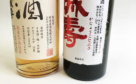 霞城寿 大吟醸・梅酒 500ml×2本セット[種友酒店] FY24-025