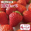 【ふるさと納税】 いちご 紅ほっぺ 2パック 4パック ( 2025年 1月 以降 発送予定 ) 期間限定 人気 果物 フルーツ 新鮮 旬 冬 春 ケーキ ショートケーキ デザート ギフト 贈り物 贈答 イチゴ 苺 ストロベリー 徳島県 吉野川市 あんいちご園