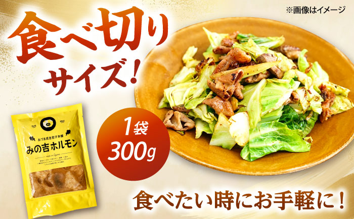 みの吉ホルモン 計1.8kg（300g×6パック）《厚真町》【有限会社市原精肉店】 ほるもん ミノ 豚肉 焼肉 BBQ 味付き 味付きホルモン 味付けホルモン 小分け 冷凍 北海道 [AXAA033]