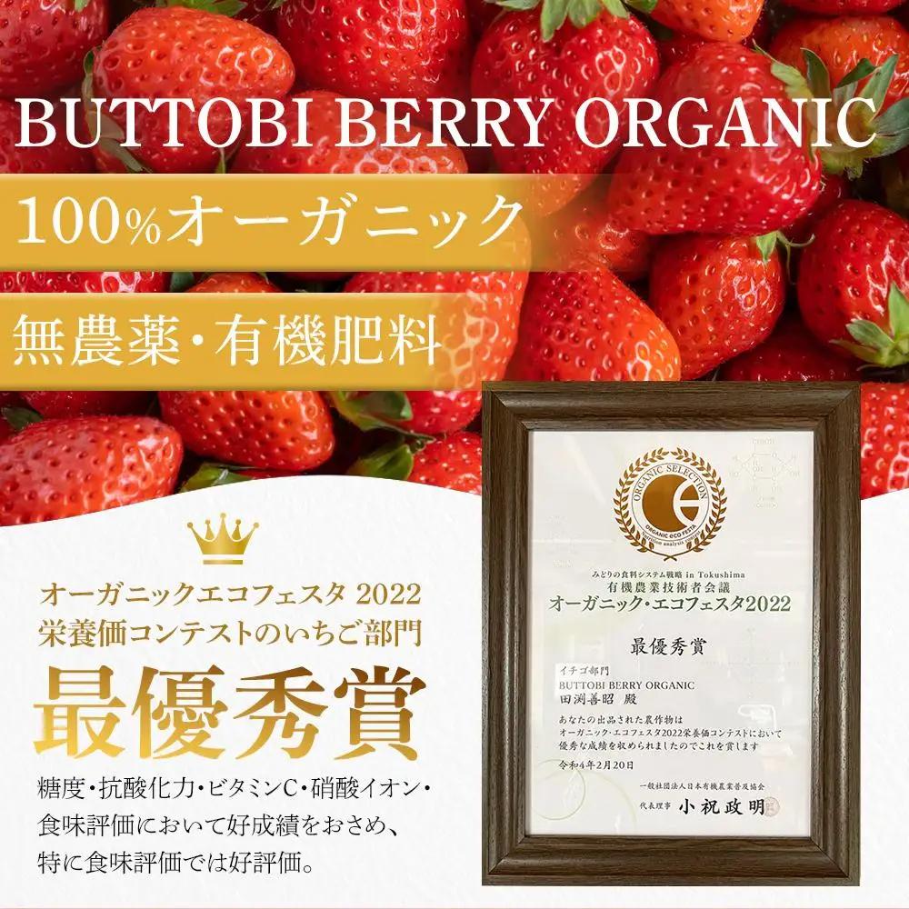 とくしまオーガニックいちご 大粒12～15粒（約380g）１箱｜イチゴ フルーツ 果物 苺 国産 有機いちご オーガニックいちご 贈答用【2026年12月下旬から順次発送】