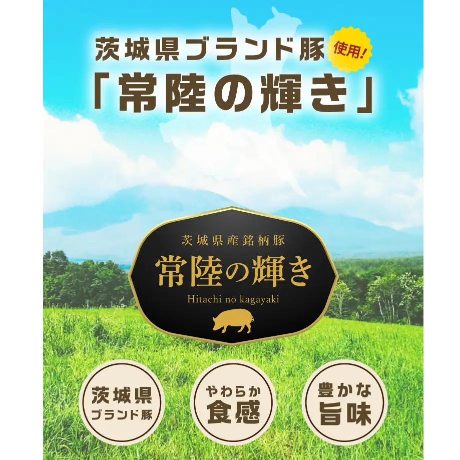 常陸の輝き バラエティ 9品 ( ハム ベーコン ソーセージ ) 豚肉 お取り寄せ グルメ 人気 冷蔵 詰め合わせ ギフト おかず ご当地グルメ ディナー 食べ比べ パーティー【茨城県共通返礼品/つく