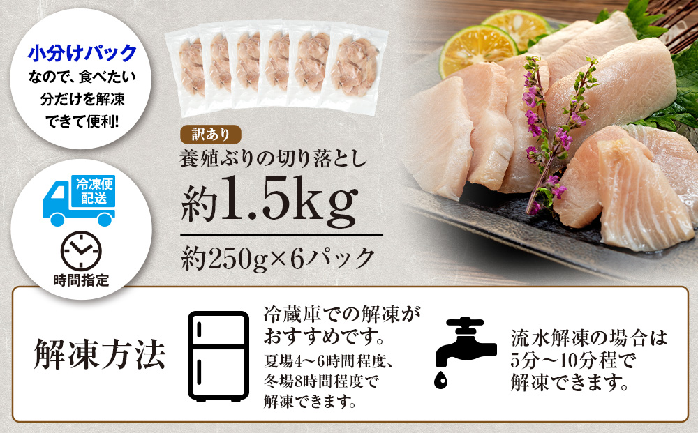 【訳あり】 ＼10営業日以内発送／ ブリ 鰤 切り落とし 計約 2kg ( 250g ×8 パック ) 南予ビージョイ buri ぶり 魚 刺身 わけあり 人気 D018-150008