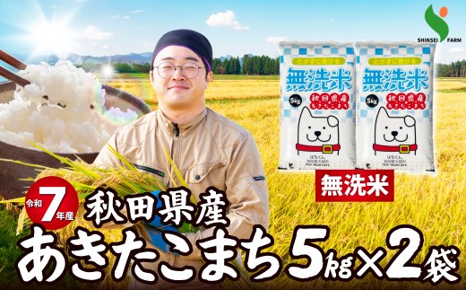 令和7年産秋田県産あきたこまち(無洗米)10kg 100P9202　/ 米 無洗米 10kg 白米 令和7年産 秋田県産 あきたこまち 5kg×2袋 おにぎり 大館 東北 秋田 小分け こわけ 大館市 10キロ 10ｷﾛ 10きろ