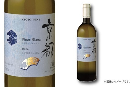 【定期便】丹波ワイン 12カ月 定期便 【 丹波ワイン 国産ぶどう使用 国産ワイン 京都 丹波 自社農園 白ワイン 赤ワイン ワイン 】 ※北海道・東北・沖縄・その他離島は配送不可 [340SJ001