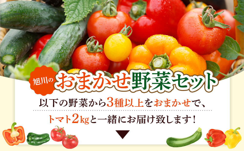 【先行予約】旭川のおまかせ野菜セット(トマト2kg＋3種以上)(2026年7月下旬発送開始)_05910
