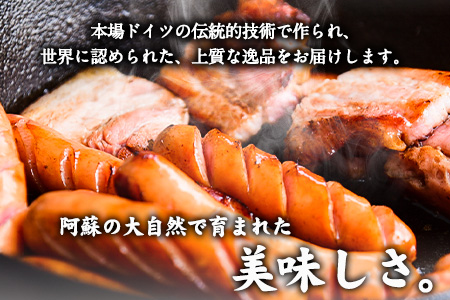 【ふるさと納税】DLG7連続金賞受賞！『阿蘇の逸品』ハム・ソーセージ バーベキューセット《30日以内に出荷予定(土日祝除く)》物産館自然庵 ハム ソーセージ ウィンナー ベーコン st-p