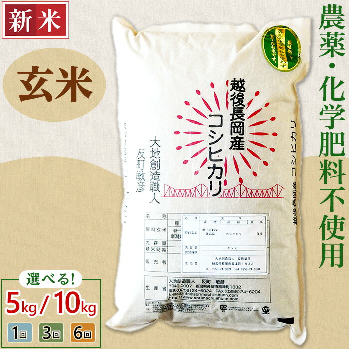 【ふるさと納税】新米予約 令和7年産 米 玄米 定期便 5kg 10kg 新潟 コシヒカリ 選べる回数 1回 3回 6回 3ヶ月 6ヶ月 新潟こしひかり お米 健康 腸活 美容 新潟県産コシヒカリ玄米（大地創造職人 反町敏彦）