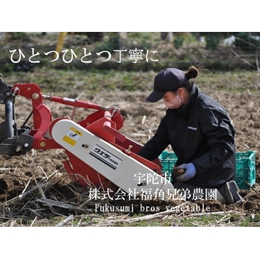 紫菊芋パウダー　150ｇ入　3袋　約90日分／菊芋　紫　薬草　腸活　水溶性食物繊維　イヌリン　朝食前　水　コーヒー　ヨーグルト　奈良県　宇陀市_イメージ5