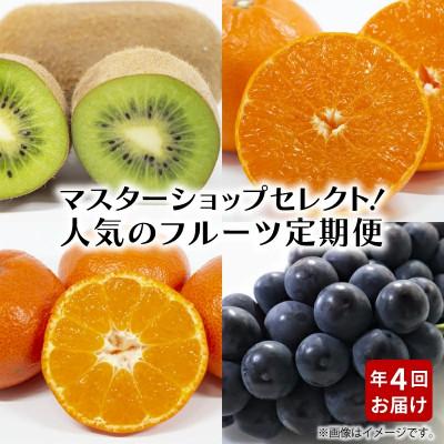 ふるさと納税 三豊市 【発送月固定定期便】造田商店のセレクト定期便全4回