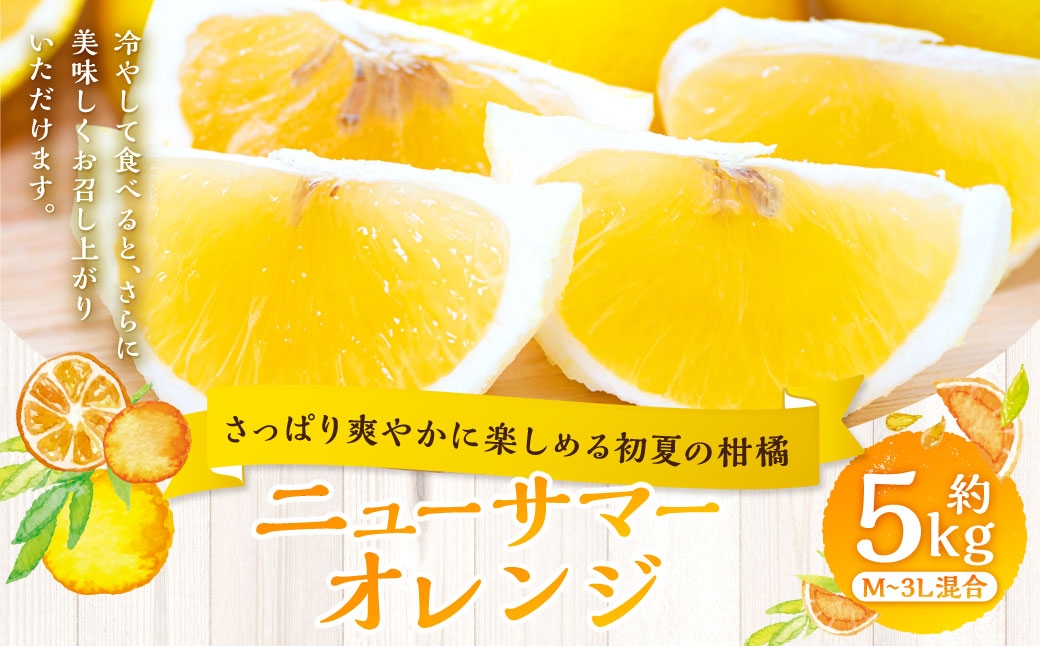 
                  【 さっぱり爽やかに楽しめる初夏の柑橘 】 ニューサマーオレンジ 約5kg オレンジ おれんじ 柑橘 柑橘系 柑橘類 みかん ミカン くだもの 果物 フルーツ 果実 果汁 果肉 国産 愛媛県産 【 2027年4月上旬～5月下旬発送予定 】 ( 1067 )
                