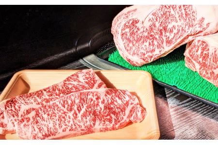 大和牛　サーロインステーキ 200g×2枚 /// 黒毛和牛 霜降り 高級 ブランド牛 お肉 柔らかい 美味しい お鍋 料理 冷凍 奈良県 広陵町