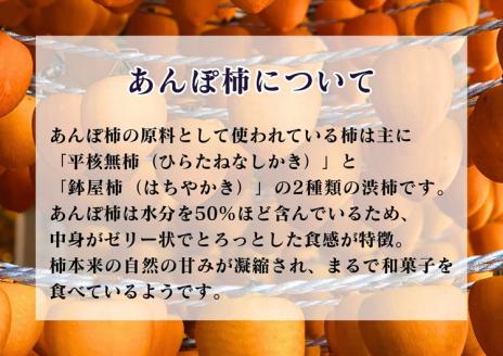 【定期便】【季節限定】3～4人用／柿の収穫体験 チケット あんぽ柿（4トレー） ※着日指定不可 ※沖縄・離島への配送不可 ※2023年10月上旬～2024年2月下旬頃に順次発送予定