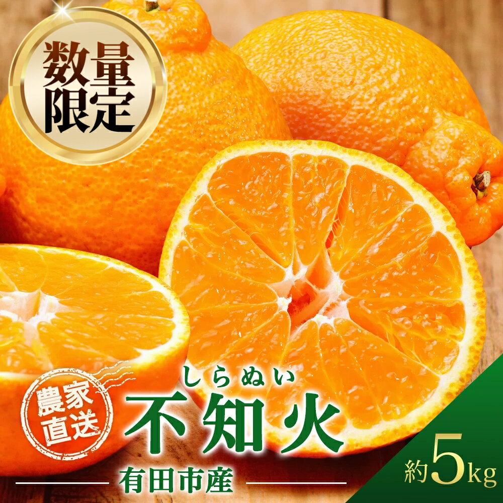 【ふるさと納税】【先行予約受付中！】不知火 しらぬい 約5kg デコポン 同品種 産地直送 5キロ 濃厚 甘い 柑橘 フルーツ 果物 くだもの みかん 人気 おすすめ レビュー高評価 ギフト 贈答 お取り寄せ 送料無料 国産 和歌山 有田市【2026年2月中旬より順次発送】（A68-1）